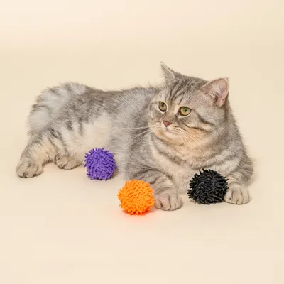 Gatto grigio sdraiato accanto a tre palline da gioco arancione, nera e viola su sfondo chiaro.