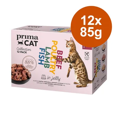 primaCAT Collection 12-pack, BEEF POULTRY LAMB FISH in jelly, 88 % d’ingrédients animaux, sans céréales ni sucre, lot de 12 x 85 g. Chat et morceaux visibles sur l’emballage. primaCAT Collection 12-pack, BEEF POULTRY LAMB FISH in jelly, 88 % d’ingrédients animaux, sans céréales ni sucre, lot de 12 x 85 g. Chat et morceaux visibles sur l’emballage.
