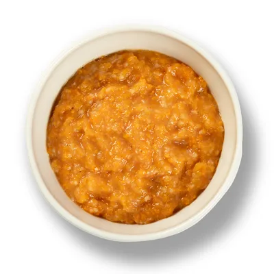 Close-up of orange-brown wet food mix in a white bowl.