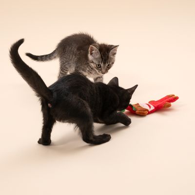 TIAKI рождественская обезьянка для кошек