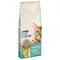 PURINA Cat Chow Adult Special Care Hairball Control 15 kg