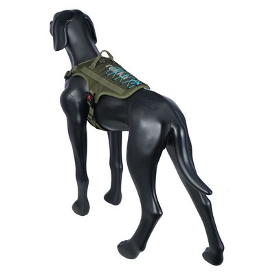 Modello di cane nero indossa una pettorina verde oliva con lacci blu e cinghie laterali. La pettorina presenta un design robusto per attività all'aperto.