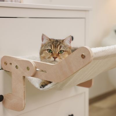 Houten kattenhangmat, gemonteerd op een commode, met een kat erop liggend. Zichtbaar: houten frame en stoffen ligvlak.