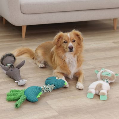 Cztery zabawki dla psa: osioł, ptak z liną, owca i pluszowa figurka na drewnianej podłodze przed sofą.