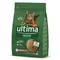 Ultima Adult Salmone 2,5 kg