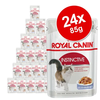 Multipack of 24 Royal Canin Instinctive pouches, each 85g. Packaging shows product name and image of food in jelly.