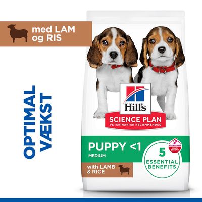 Hill's Science Plan Puppy <1 Medium med lam & ris