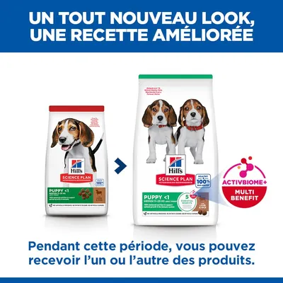 Hill's Science Plan Puppy <1 Medium Agneau, riz - 18 kg
