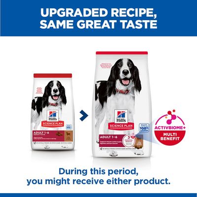 Hill's Science Plan Adult 1-6 Medium bárány & rizs