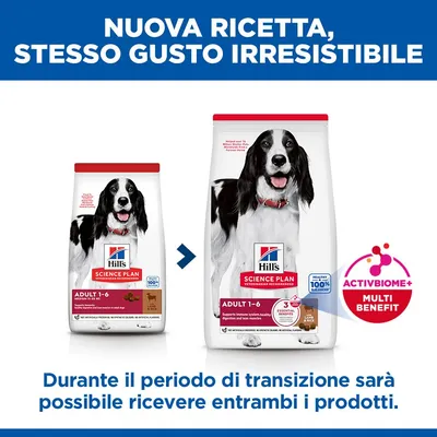 Hill's Science Plan Adult Medium con Agnello e Riso - 2 x 18 kg
