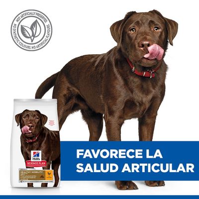 Hill's Science Plan Healthy Mobility Adult 1+ Large con pollo