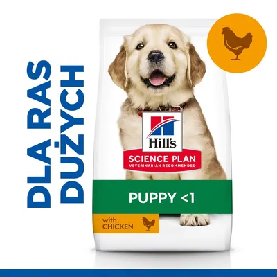 Hill's Science Plan Puppy <1 Large, kurczak - 14,5 kg