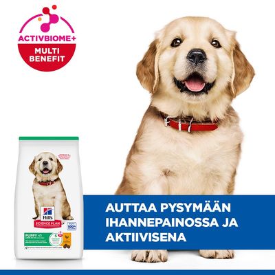 Hill's Science Plan Puppy <1 Large kana - säästöpakkaus: 2 x 14,5 kg