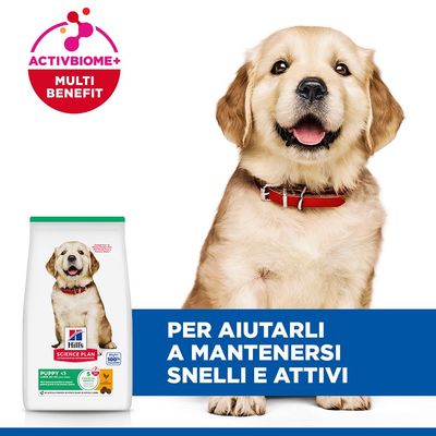 Hill's Science Plan Puppy <1 Large con Pollo - 6 kg
