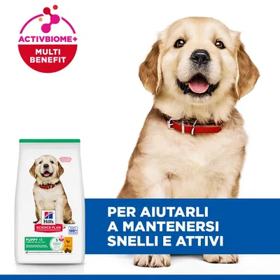 Hill's Science Plan Puppy <1 Large con Pollo - 2 x 16 kg