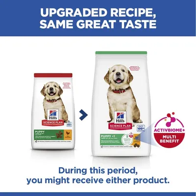 Hill's Science Plan Puppy <1 Large csirke - 16 kg