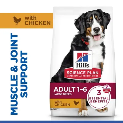 Hill's Science Plan Adult 1-5 Large s piletinom