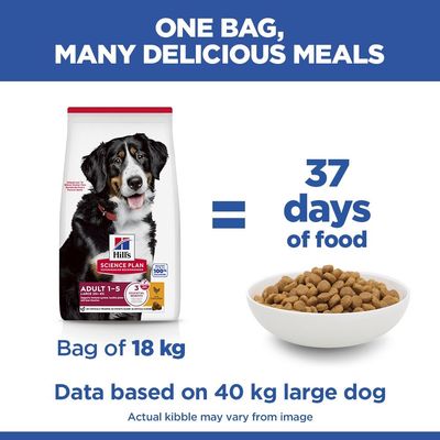 Hill's Science Plan Adult 1-5 Large с курицей