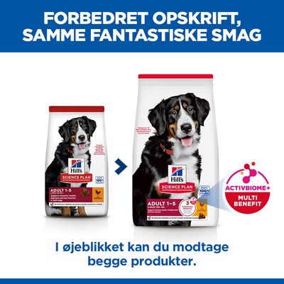 Hill's Science Plan Adult 1-5 Large Kylling