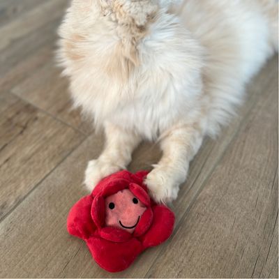 Punainen plyysilelu kukkamuodossa, hymyilevät kasvot, makaa puulattialla. Vaalean eläimen etutassut näkyvissä.