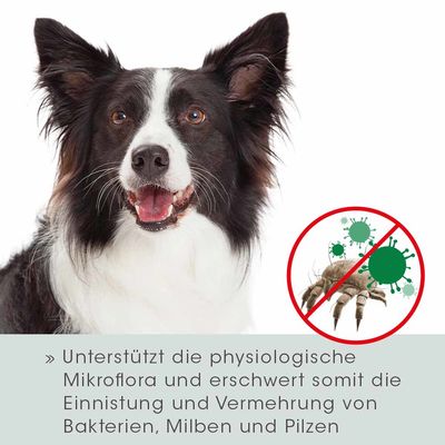 Изображение собаки с символом против клещей и микробов; поддерживает физиологическую микрофлору и препятствует размножению бактерий, клещей и грибков.