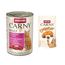 animonda Carny Adult: karma mokra dla kota, 6 x 400 g + Crunchy, wołowina z kurczakiem, 50 g gratis! Koktajl mięsny