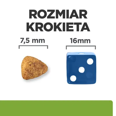 Porównanie rozmiarów: kawałek krokieta o średnicy 7,5 mm obok kostki o długości krawędzi 16 mm. Nagłówek: Rozmiar krokieta.