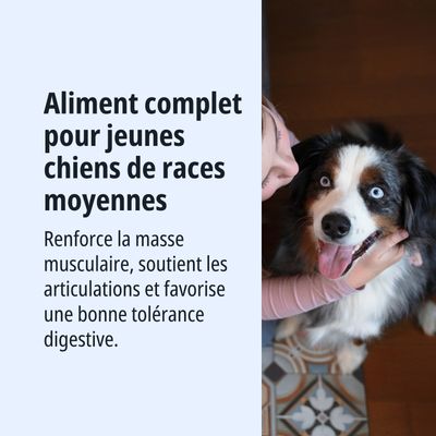 Aliment complet pour jeunes chiens de races moyennes. Soutient la masse musculaire, les articulations et favorise une bonne tolérance digestive.