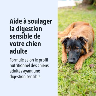 Aide à soutenir la digestion sensible des chiens adultes. Développé selon le profil nutritionnel pour les chiens à digestion sensible.