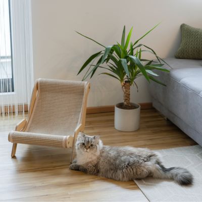 Kerbl Pet kattstol Sundowner