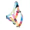 TIAKI Geschirr Rainbow Brustumfang 43 - 50 cm (Größe S)