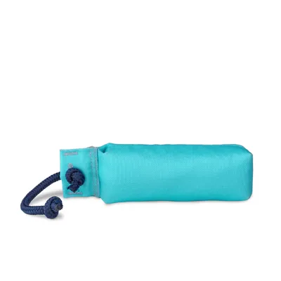 Coachi señuelo para perros - L, azul claro