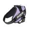 Julius-K9 IDC® Powerharness postroj, fialový velikost  S/Mini: obvod hrudníku 49 - 67 cm
