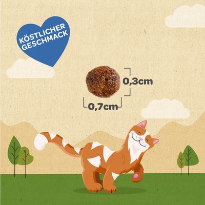 Gust delicios. Dimensiuni gustare: diametru 0,7 cm, înălțime 0,3 cm. Ilustrație cu o pisică pe fundal verde.