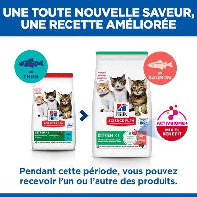 Hill's Science Plan Kitten <1 Saumon - 1,5 kg