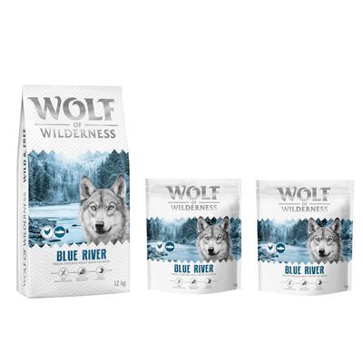 Wolf of Wilderness Logo. Hund springt über moosbedeckte Felsen in einem Wald.