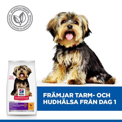 Hill's Science Plan Sensitive Stomach & Skin Adult 1+ Small & Mini Chicken - Ekonomipack: 2 x 6 kg