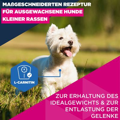 Eukanuba Premium Nutrition Mature Small Breed Huhn - 7,5 kg
