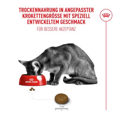 Royal Canin Fussy Exigent - 10 + 2 kg gratis!