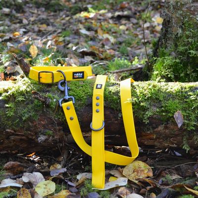 Rukka Biodipro halsband, geel