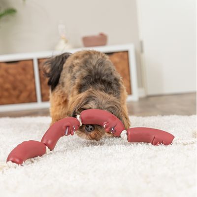 Trixie Chaîne à saucisses en vinyle avec corde pour chien