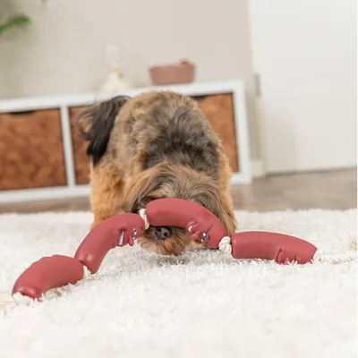 Trixie Chaîne à saucisses en vinyle avec corde pour chien