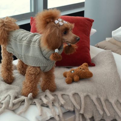 Rukka Teddy zabawka dla psa, brązowa