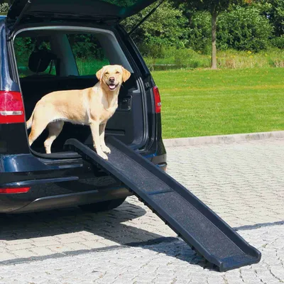 Trixie Rampe pliante pour chien, noir - L 156 x l 40 cm