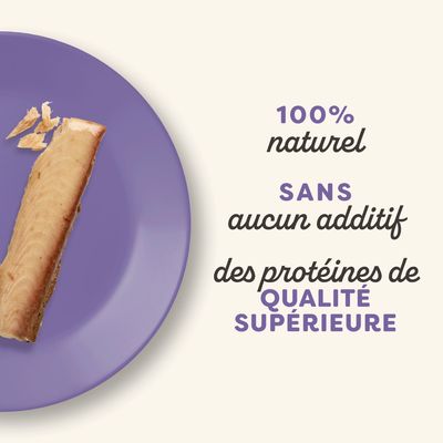 Applaws Cat Loin Multipack