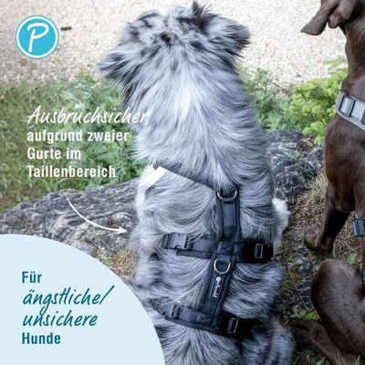 Petlando Mesh bezpečnostní postroj, černý