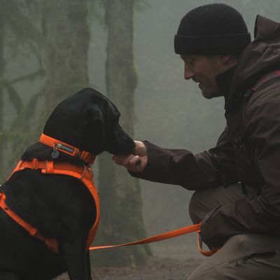 Ruffwear Front Range halsband Blaze Orange