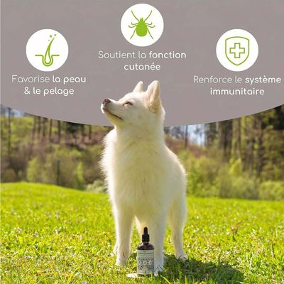 Chien avec bouteille, textes en français : Favorise la peau et la fourrure, soutient la fonction cutanée, renforce le système immunitaire.