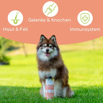 Wolfsbacher Natur Lachsöl für Hunde