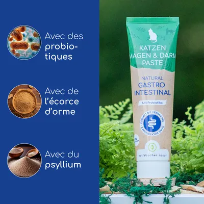 Pâte gastro-intestinale naturelle pour chats avec probiotiques, contient des probiotiques, de l’orme rouge et de l’ispaghul. Marque : wolfsbacher natur.